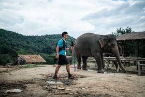 BIB: 
                            <button type="button" onclick="openModal(22423488)" class="btn btn-primary btn-sm float-right btn-popup" data-toggle="modal" data-target=".modal-high-quality">
                        <i class="fas fa-shopping-cart"></i> Add to Cart
                    </button>
                                            <button type="button" onclick="isThisMe(22423488, true)" class="btn btn-success btn-sm float-right btn-popup btn-isme hidden" data-toggle="tooltip" data-placement="bottom" title="นี่คือรูปของคุณใช่ไหม คลิกที่นี่เพื่อเอาเข้าอัลบั้ม">
                        <i class="fas fa-plus"></i> Add to album
                    </button>
                    <button type="button" onclick="isThisMe(22423488, false)" class="btn btn-warning btn-sm float-right btn-popup btn-isnotme hidden">
                        <i class="fas fa-ban"></i> Remove from album
                    </button>